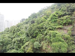 東半山 - 康德居 08