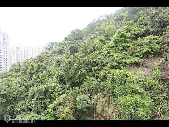東半山 - 康德居 08