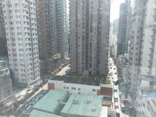 Sai Ying Pun - Elite Court 02
