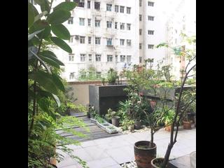 Sai Ying Pun - Grand Scholar 08