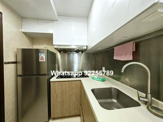 Sai Ying Pun - Western Garden 09