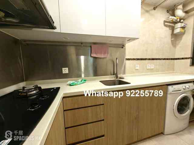Sai Ying Pun - Western Garden 10