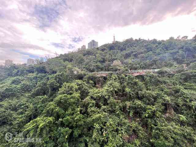 東半山 - 康德居 08
