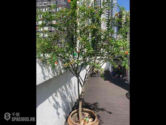 Soho - Tai Li House 15