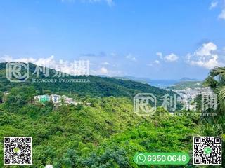 西贡 - 庆径石村 46