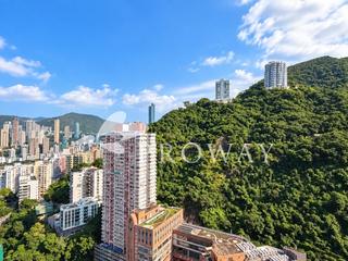 東半山 - 竹林苑 04