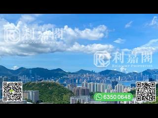 清水灣 - 飛鵝山道3號 03