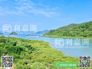 馬鞍山 - 企嶺下老圍 02