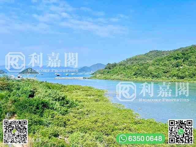 馬鞍山 - 企嶺下老圍 02