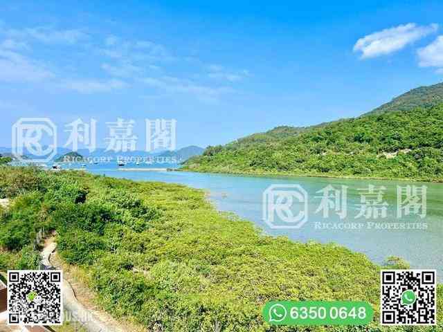 馬鞍山 - 企嶺下老圍 27