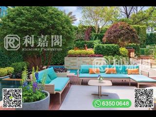 西贡 - 逸珑海汇 17
