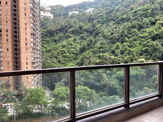 中半山 - 地利根德阁1座 10