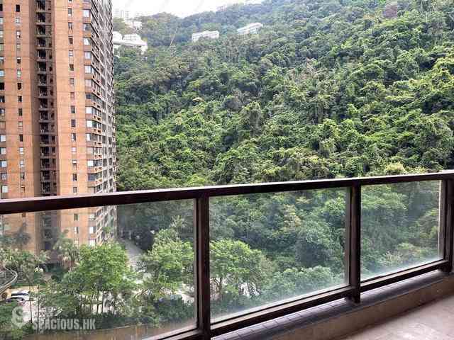 中半山 - 地利根德阁1座 10