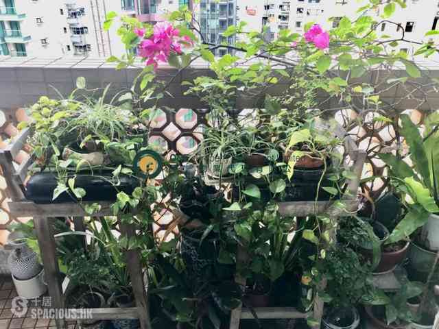 Mid Levels Central - Jing Tai Garden Mansion 02