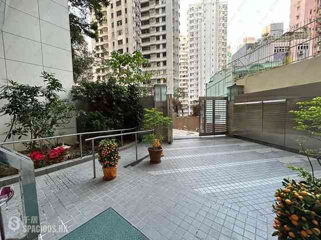Sai Ying Pun - Reading Place 10