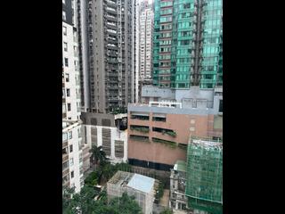 Soho - Dawning Height 12