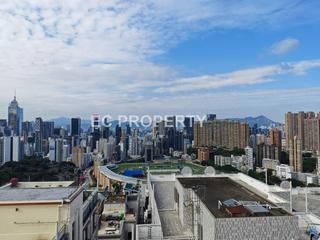 司徒拔道 - 東園 05