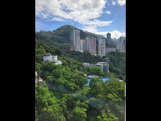 Wan Chai - Royal Court 13