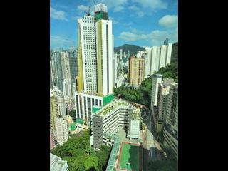 Wan Chai - Royal Court 14