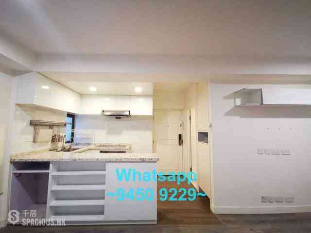 Sheung Wan - Hongway Garden 02
