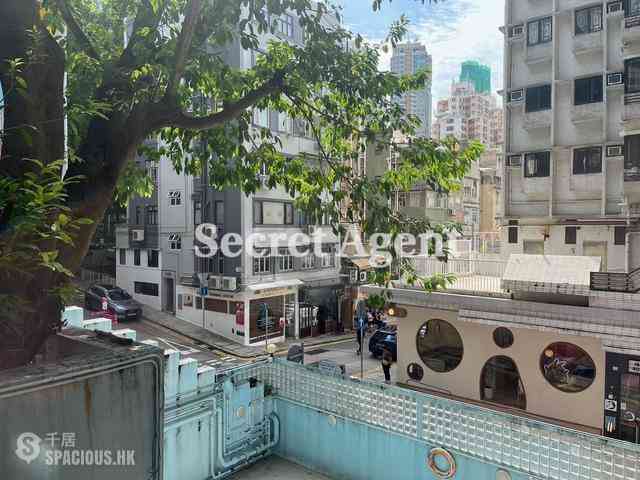 Poho - Rich View Terrace 01