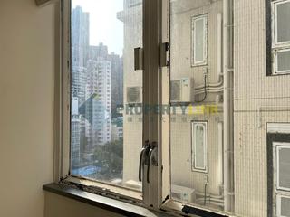 Poho - Goodview Court 08