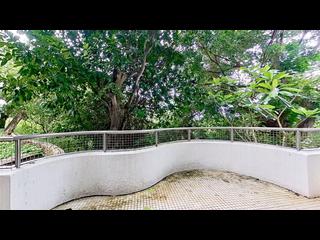 Pok Fu Lam - Pine Grove 06