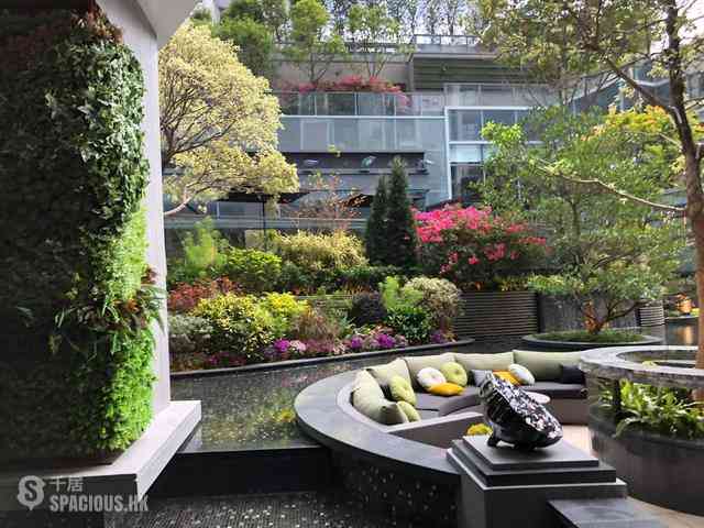 Shau Kei Wan - Lime Gala Block 1B 11
