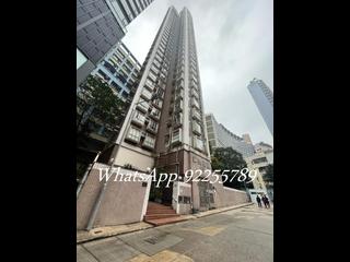 Sai Ying Pun - Macro Garden 08