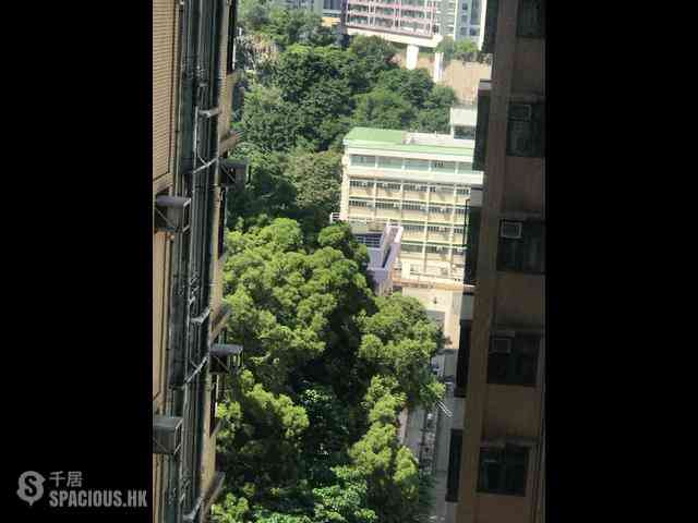 Sai Wan Ho - Parker 33 03