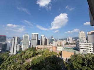 中半山 - 寶德臺 02