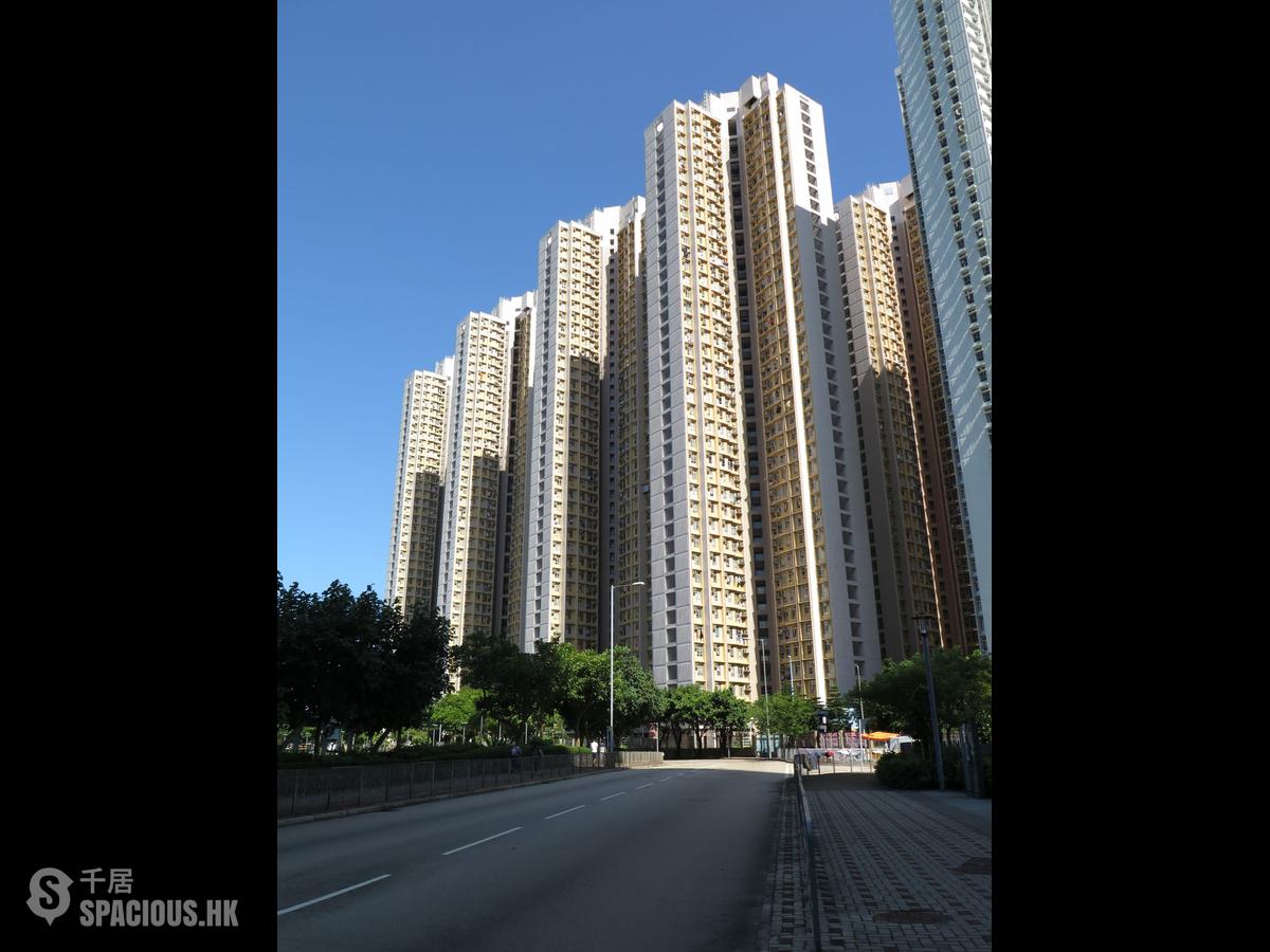 筲箕灣 - 東旭苑 01