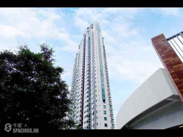 西半山 - 罗便臣道80号 02