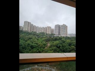 北角 - 柏蔚山2座 06