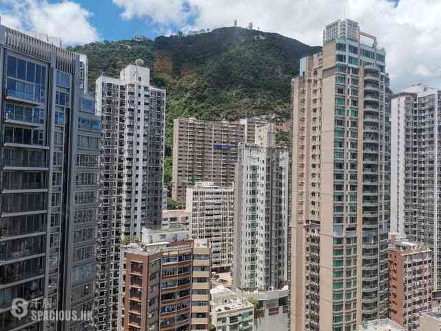 中半山 - 嘉兆台 01