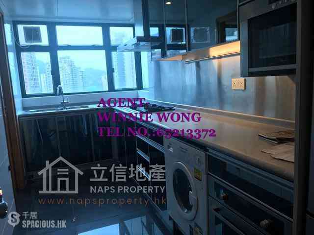 西半山 - 罗便臣道80号 02