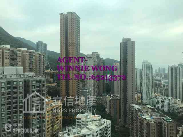 西半山 - 罗便臣道80号 07