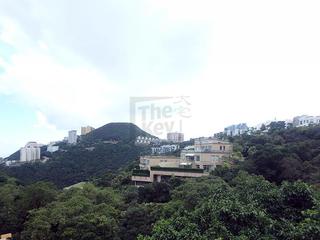 The Peak - Stewart Terrace 02
