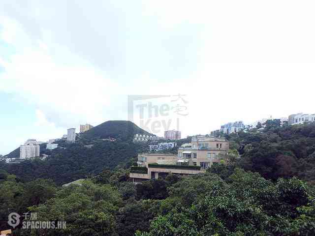 The Peak - Stewart Terrace 02