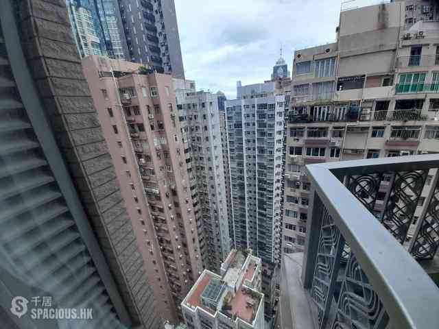 中半山 - 罗便臣道31号 13