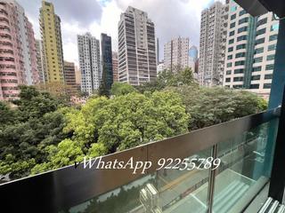 Poho - 236, Hollywood Road 02