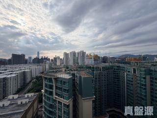 紅磡 - 海逸豪园 翠堤湾 Ocean Vista 04