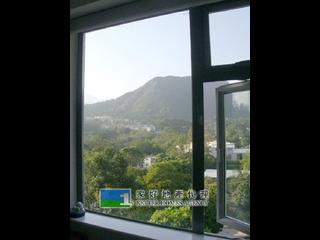 Sai Kung - Tai Mong Tsai 14