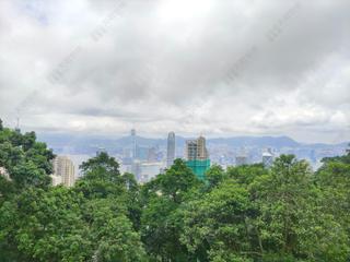 The Peak - Barker Villa 03