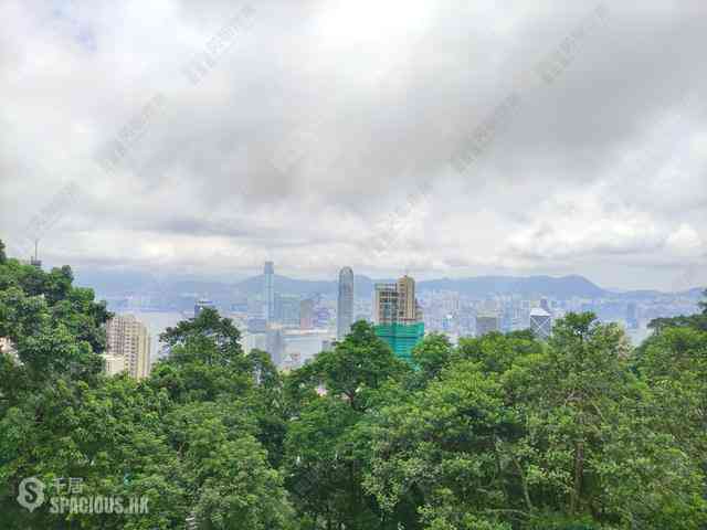 The Peak - Barker Villa 03