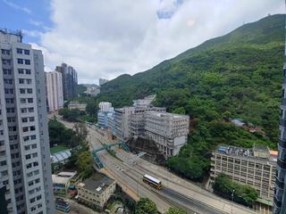 Shau Kei Wan - Lime Gala 02