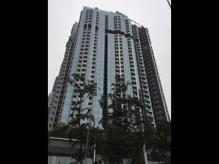 Shau Kei Wan - Lime Gala 03