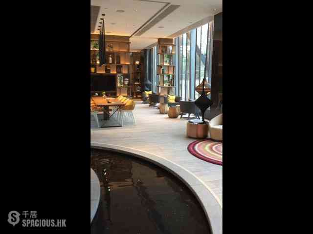 Shau Kei Wan - Lime Gala 05
