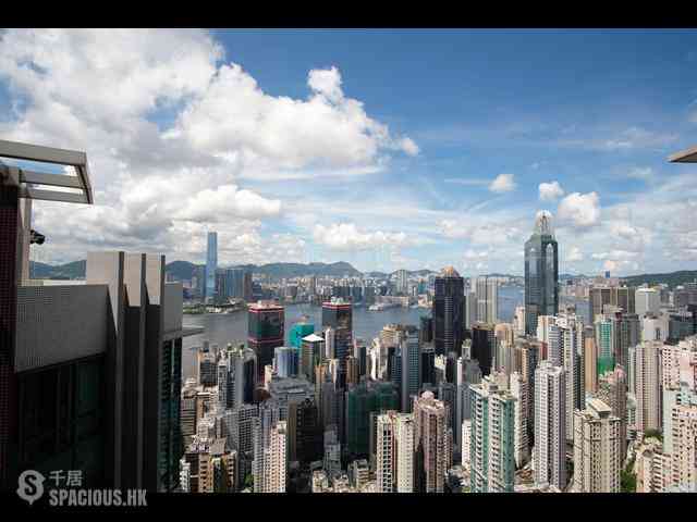 西半山 - 罗便臣道80号1座 12