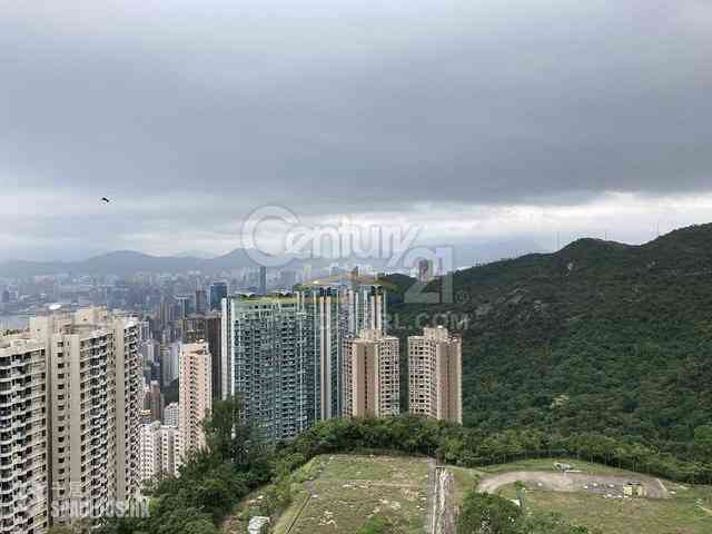 Jardines Lookout - 111, Mount Butler Road 05